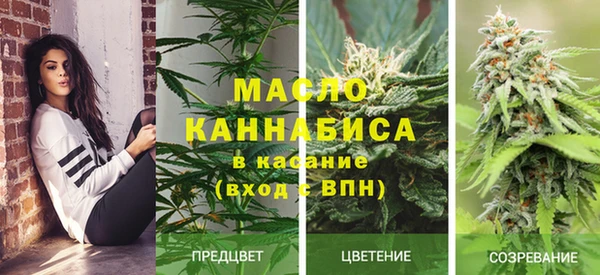 ГАЛЛЮЦИНОГЕННЫЕ ГРИБЫ Козловка
