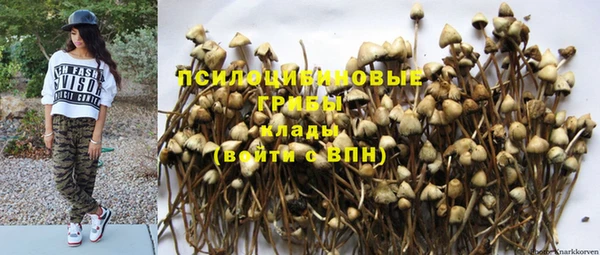 соль курить ск Корсаков
