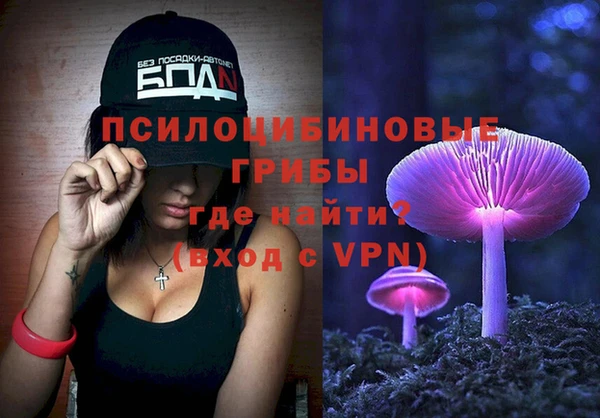гидра Козельск