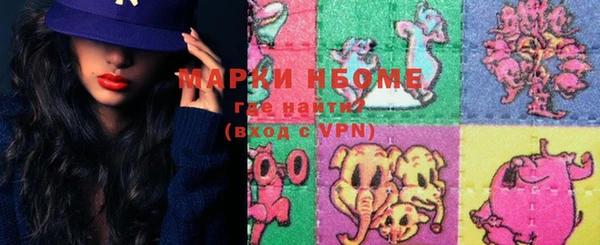 ГАЛЛЮЦИНОГЕННЫЕ ГРИБЫ Козловка