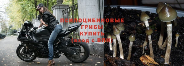 PSILOCYBIN Красноперекопск