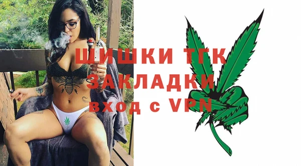 ПСИЛОЦИБИНОВЫЕ ГРИБЫ Коряжма