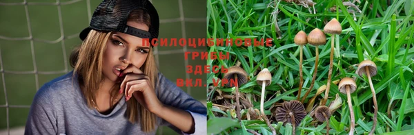 бутират Краснослободск