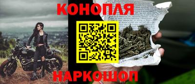 крисы Заводоуковск