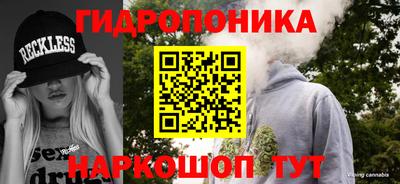 крисы Заводоуковск