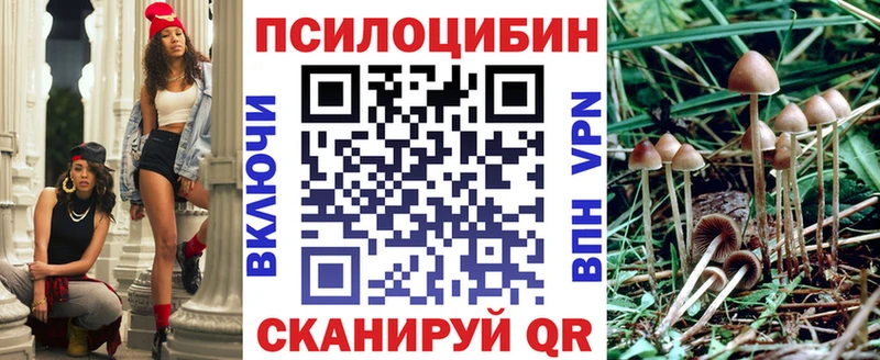 Галлюциногенные грибы мицелий omg онион Лесозаводск сколько стоит