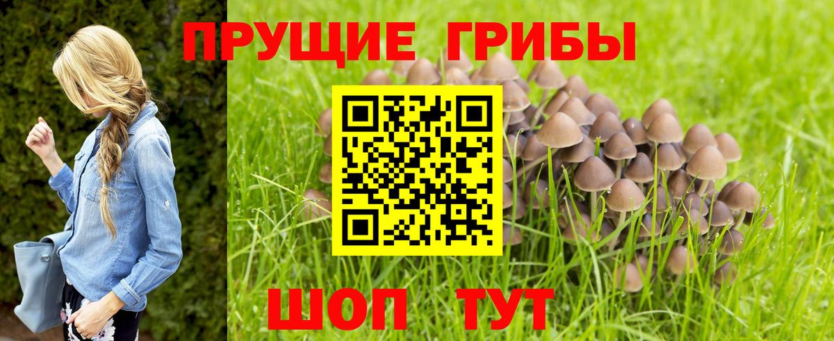 Галлюциногенные грибы мухоморы Лесозаводск