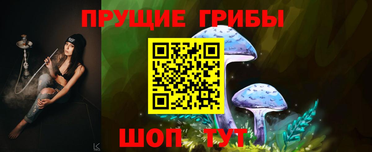 Лесозаводск  Галлюциногенные грибы GOLDEN TEACHER  Вход с VPN 